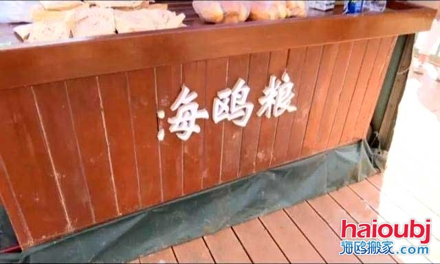 昆明海鷗搬家稱一老板返鄉(xiāng)探病，留下鷗糧供游客投喂結(jié)果出乎意料.jpg